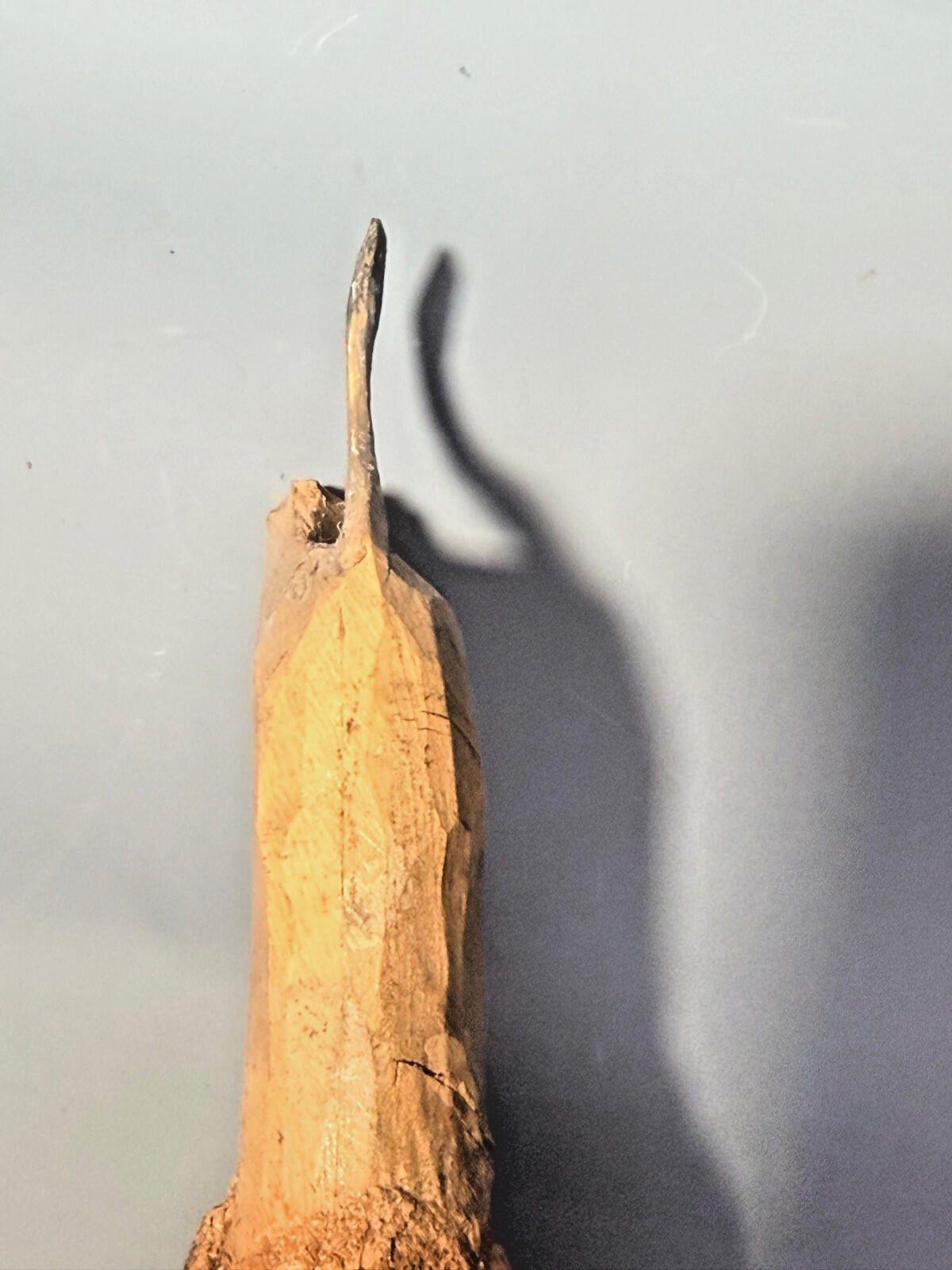 Forest Toys of Brockenhurst: NOHAS ARK lion with Maine male Frank Whittington -