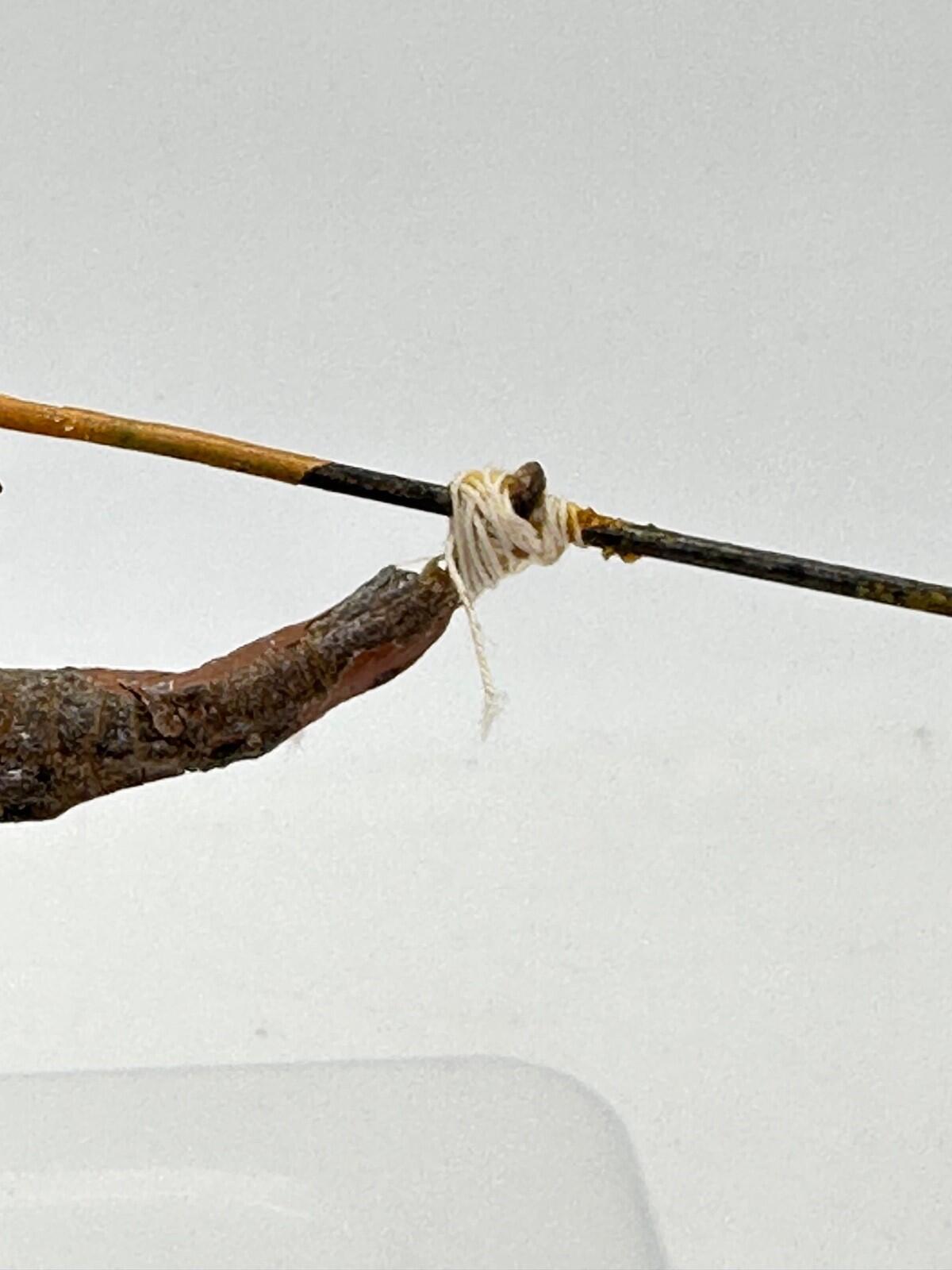 Elastolin Hausser  composite Indian with spear & shield 6822 7CM SCALE